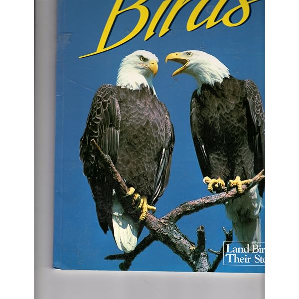 Birds of the Forest: Lansdowne, James Fenwick: 9780884860273