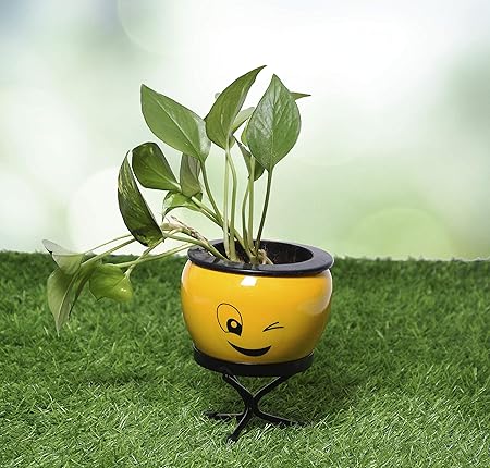 HINS Smily Metal Polka Round Shape Flower Plant Pot With Stand (large, smily style 5) Metal Pots For Indoor Plants I Elevated Garden Planter I Raised Planter IDesk Plant I Raised Planter Box I Ascent Homes Metal Planter I Raised Planter Box With Legs I Brass Pots For Indoor Plants I Golden Planter I Mid Century Plant Stand I Brass Planters For Indoor Plants I Indoor Plant Stand For Living Room I Metal Planters Pot For Indoor Plants designer pots for indoor plan