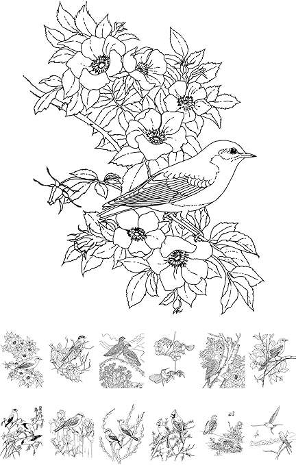 Oiseaux Et Fleurs Motif Vintage Pour Coloriage Pour Adultes 24 Cartes 10 2 X 16 5 Cm Livre De Coloriage Pour Adultes Cuisine Maison Loisirs Creatifs Oiseaux Et Fleurs Motif Vintage Pour Coloriage Pour Adultes 24 Cartes 10 2 X 16 5 Cm Livre De Coloriage Pour Adultes Cuisine Maison Loisirs Creatifs