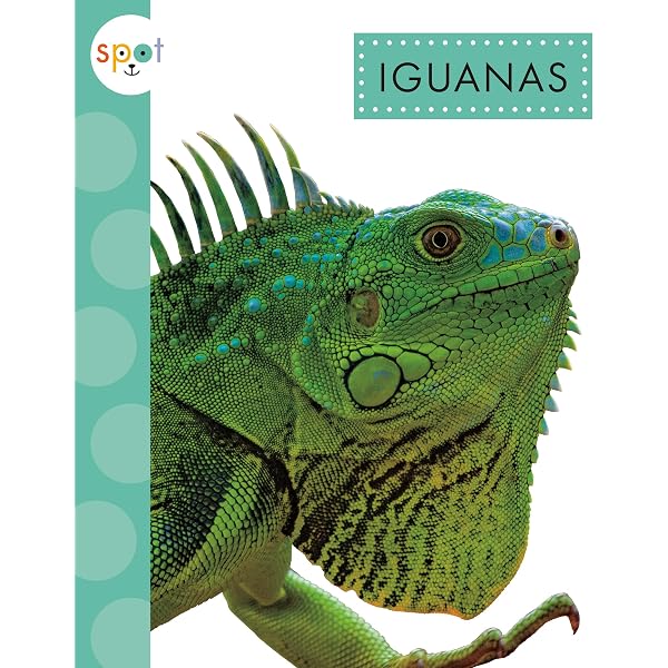 iguana様 リクエストまとめ商品 オマケ付(*^O^*)ありがとうございます Las iguanas (Spanish Edition): Thielges, Alissa: 9781645498315