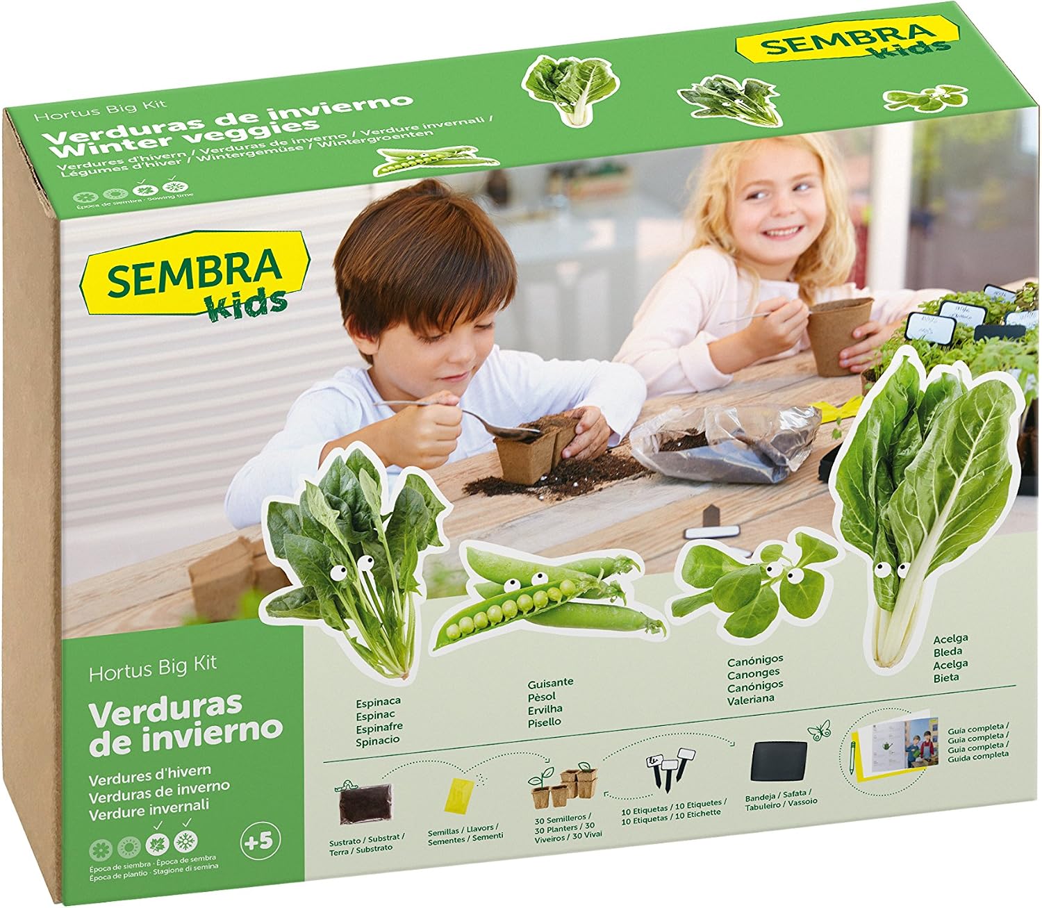 SEMBRA - juego educativo, Kit huerto Verduras de invierno: Amazon ...