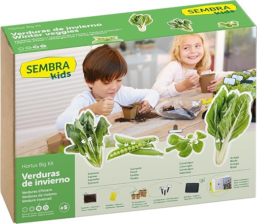 SEMBRA - juego educativo, Kit huerto Verduras de invierno: Amazon ...