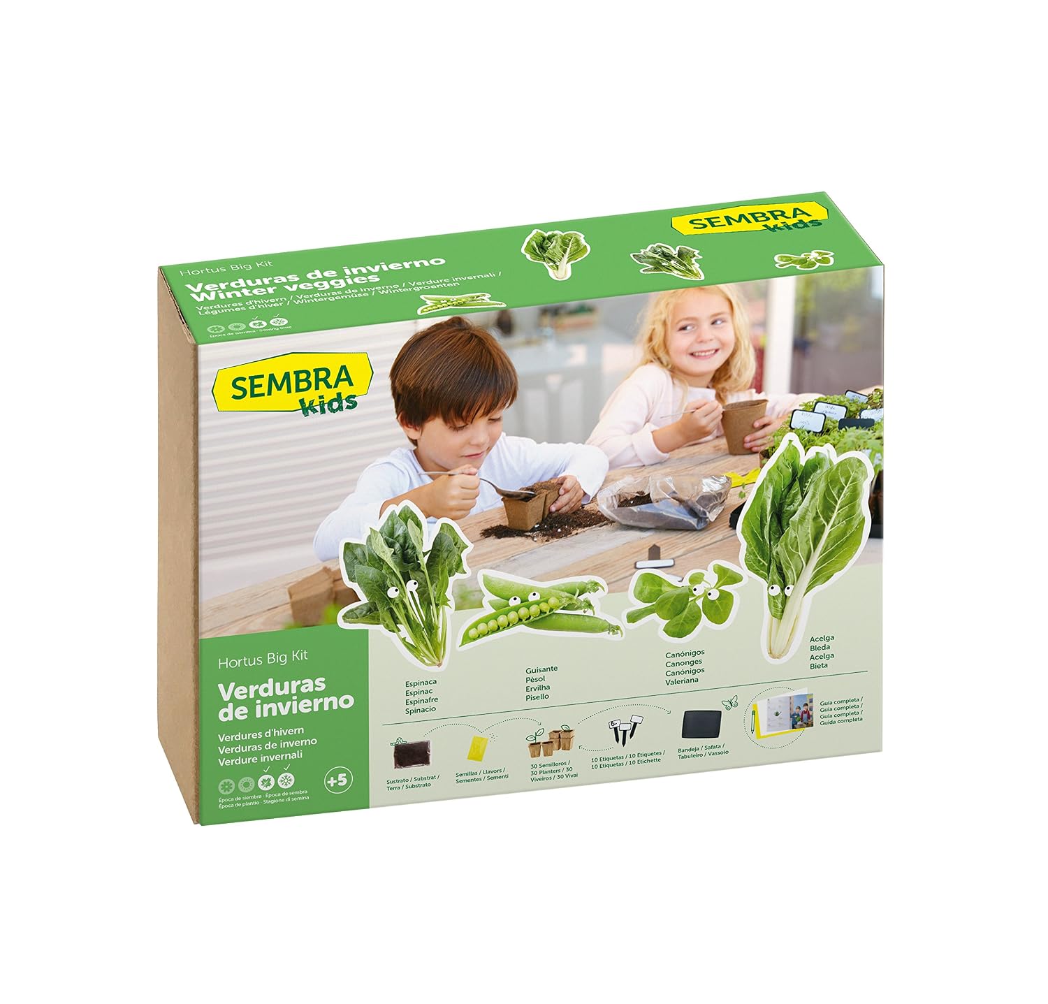 SEMBRA - juego educativo, Kit huerto Guisante: Amazon.es: Jardín