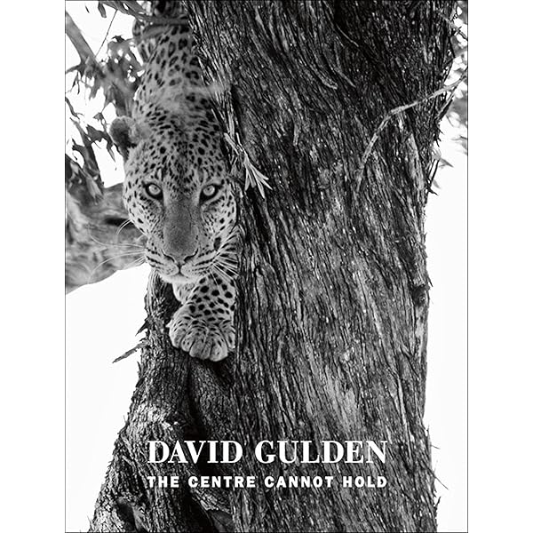 Amazon.com: David Gulden: Nor Dread Nor Hope Attend: Photographs