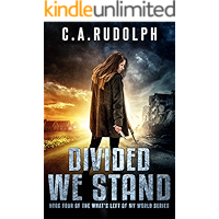 Divided We Stand (What's Left of My World Book 4) book cover