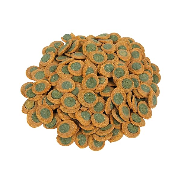 TETRA PRO PLECOWAFERS 5.29 OUNCES, NUTRITIONALLY BALANCED VEGETARIAN FISH FOOD FOR BOTTOM FEEDERS, CONCENTRATED ALGAE CENTER