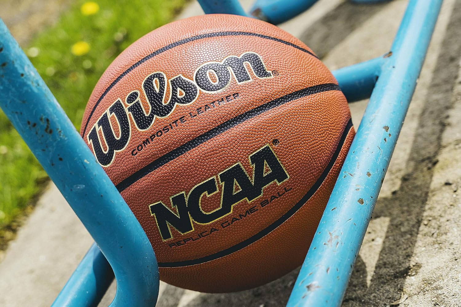 Wilson NCAA Indoor/Outdoor Basketball : Sports & Outdoors