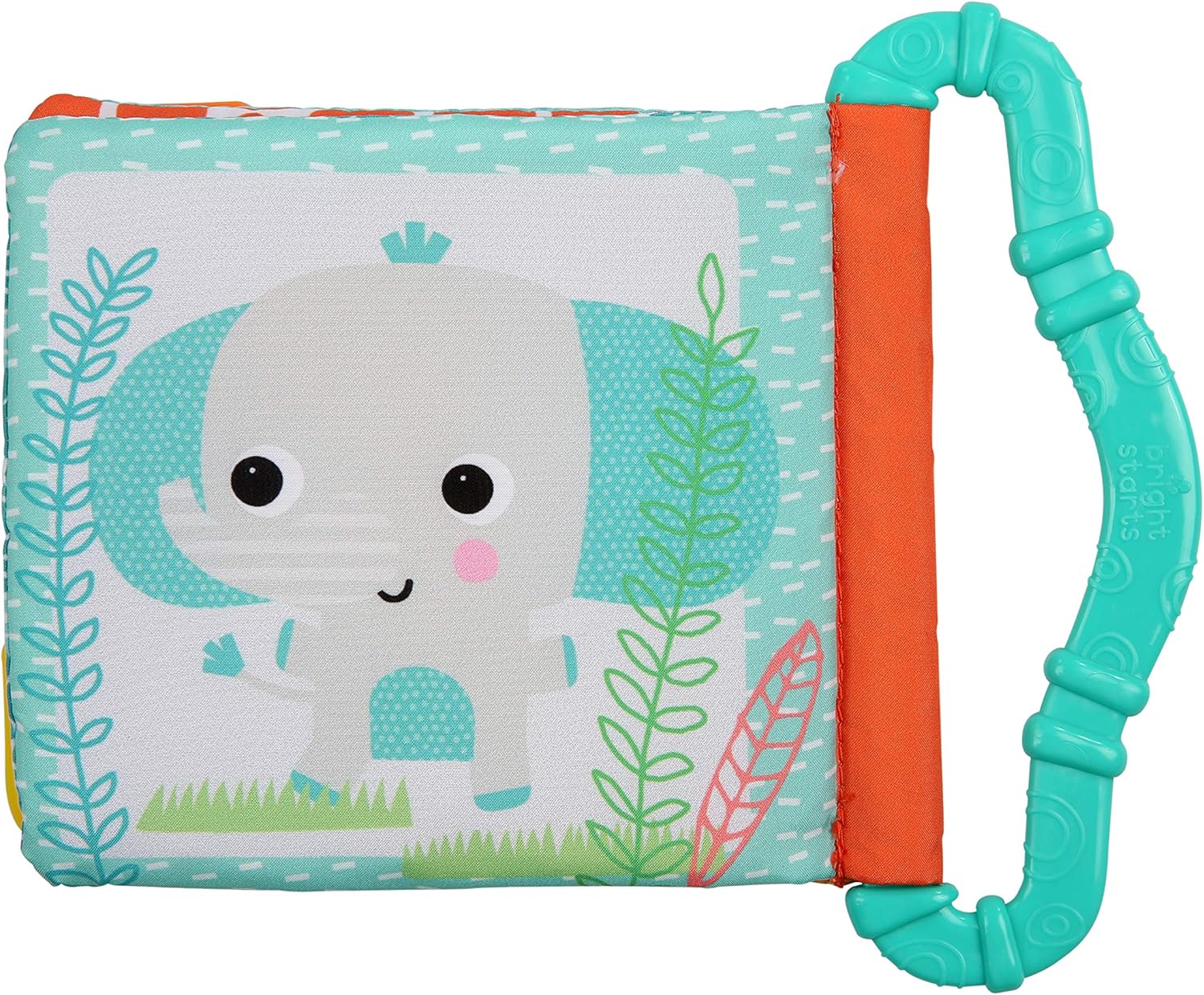 bright starts teethe and read