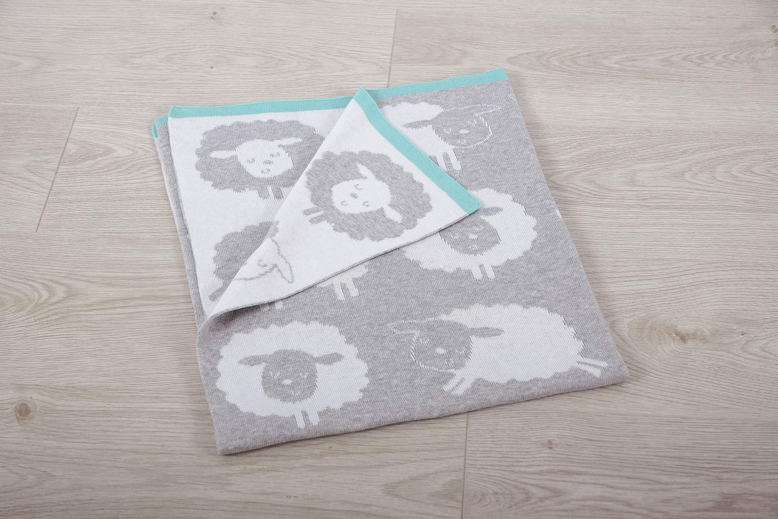 silver cloud counting sheep