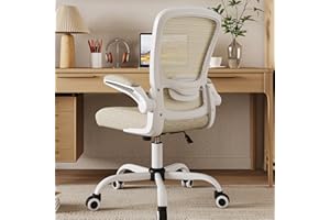 Mimoglad Home Office Chair, High Back Desk Chair, Ergonomic Mesh Computer Chair with Adjustable Lumbar Support and Thickened Seat Cushion (Modern, Beige)