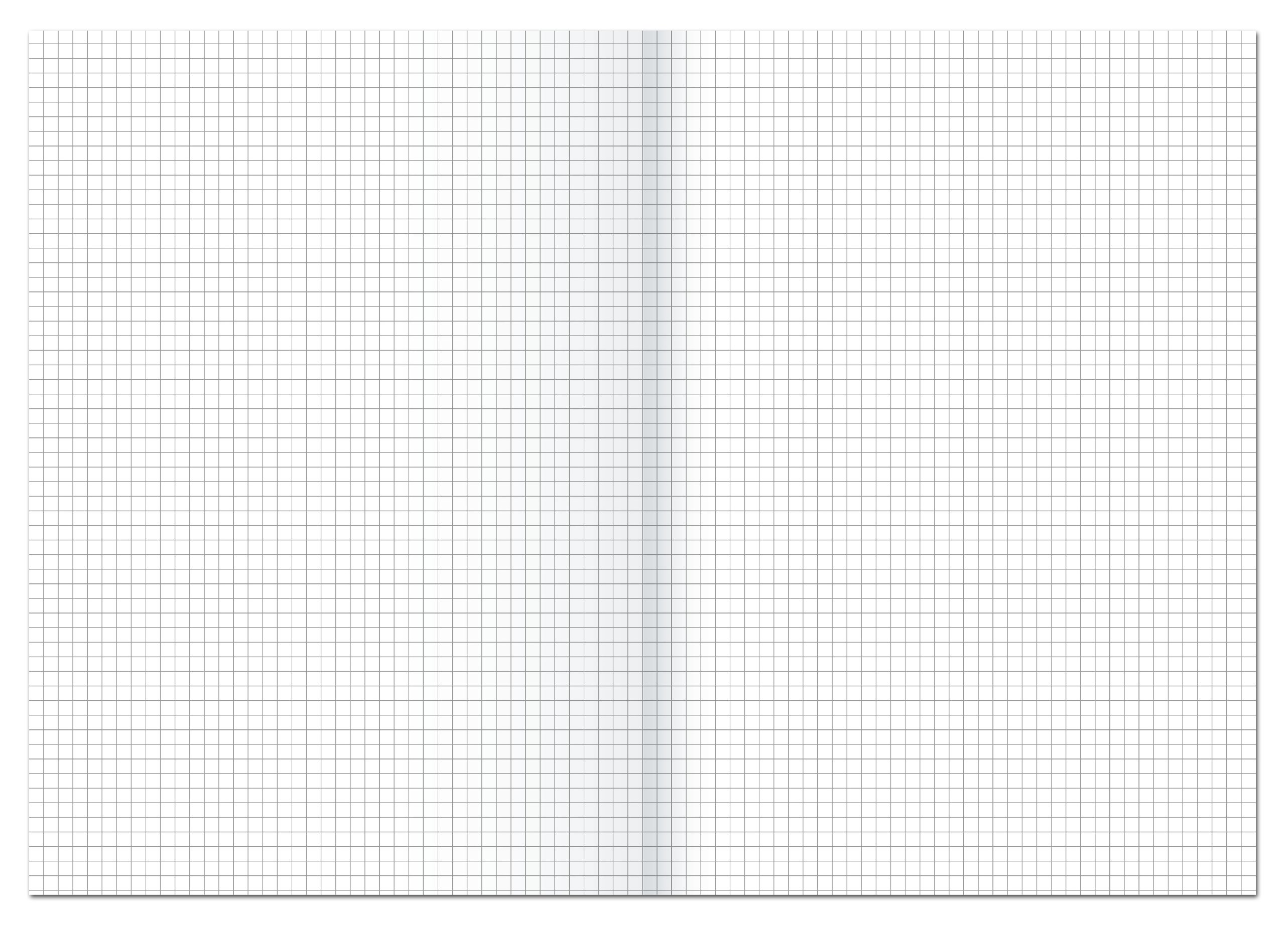 Ursus 608469020 Folded Foolscap A3 / A4, Square-Ruled, 250 BG, 80 g/M², 5 MM