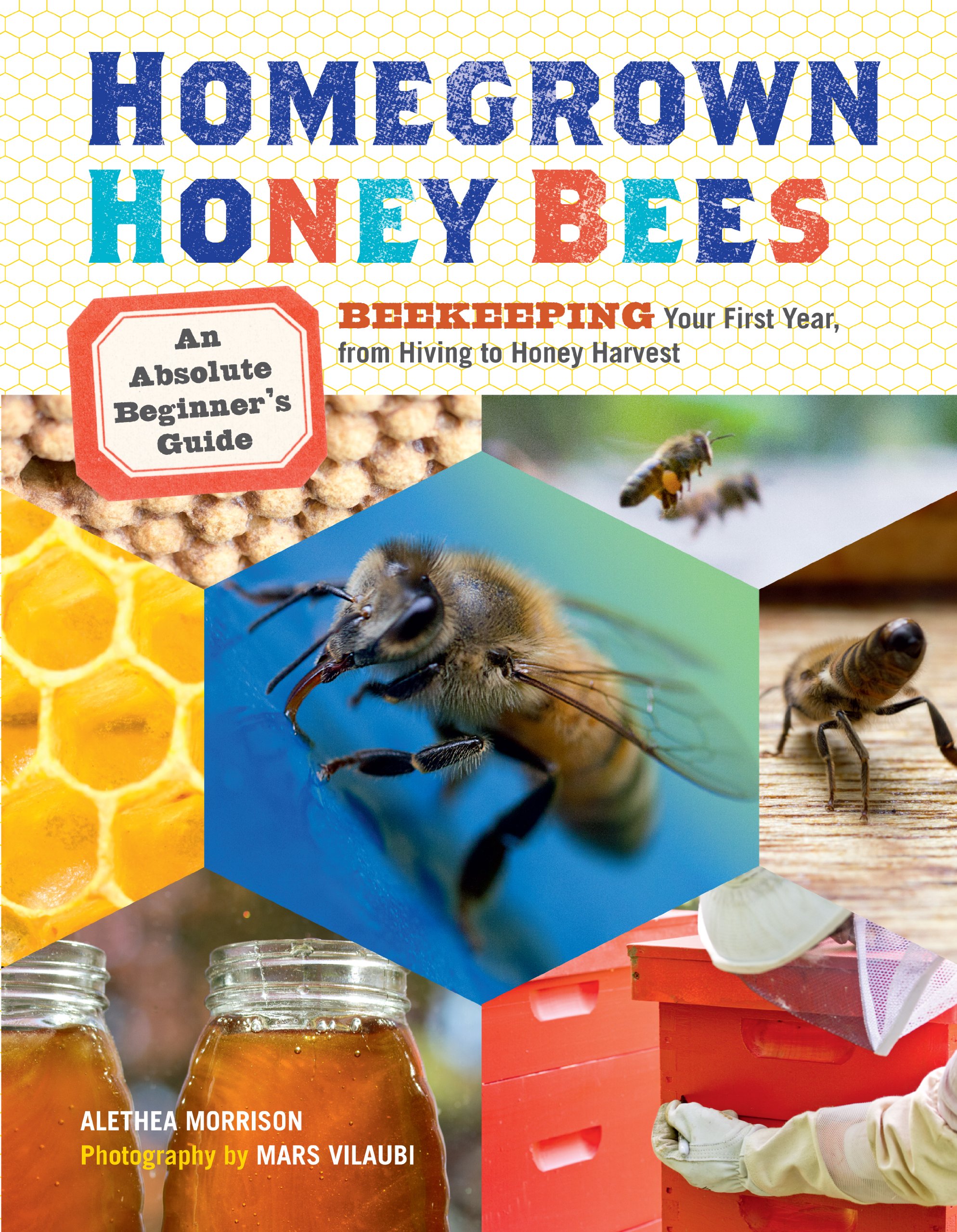 Homegrown Honey Bees An Absolute Beginners Guide To Beekeeping