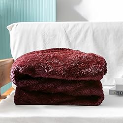 Exclusivo Mezcla Plush Fuzzy Fleece Throw Blanket
