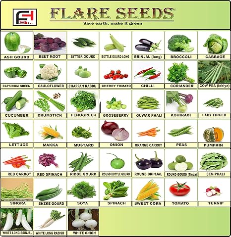 Vegetables Seeds Combo For Home Garden 45 Varities Indian Vegetable Organic Seeds 2500+ Seeds