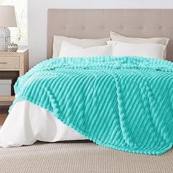 Bedsure Blue King Size Blanket for Bed - GentleSoft