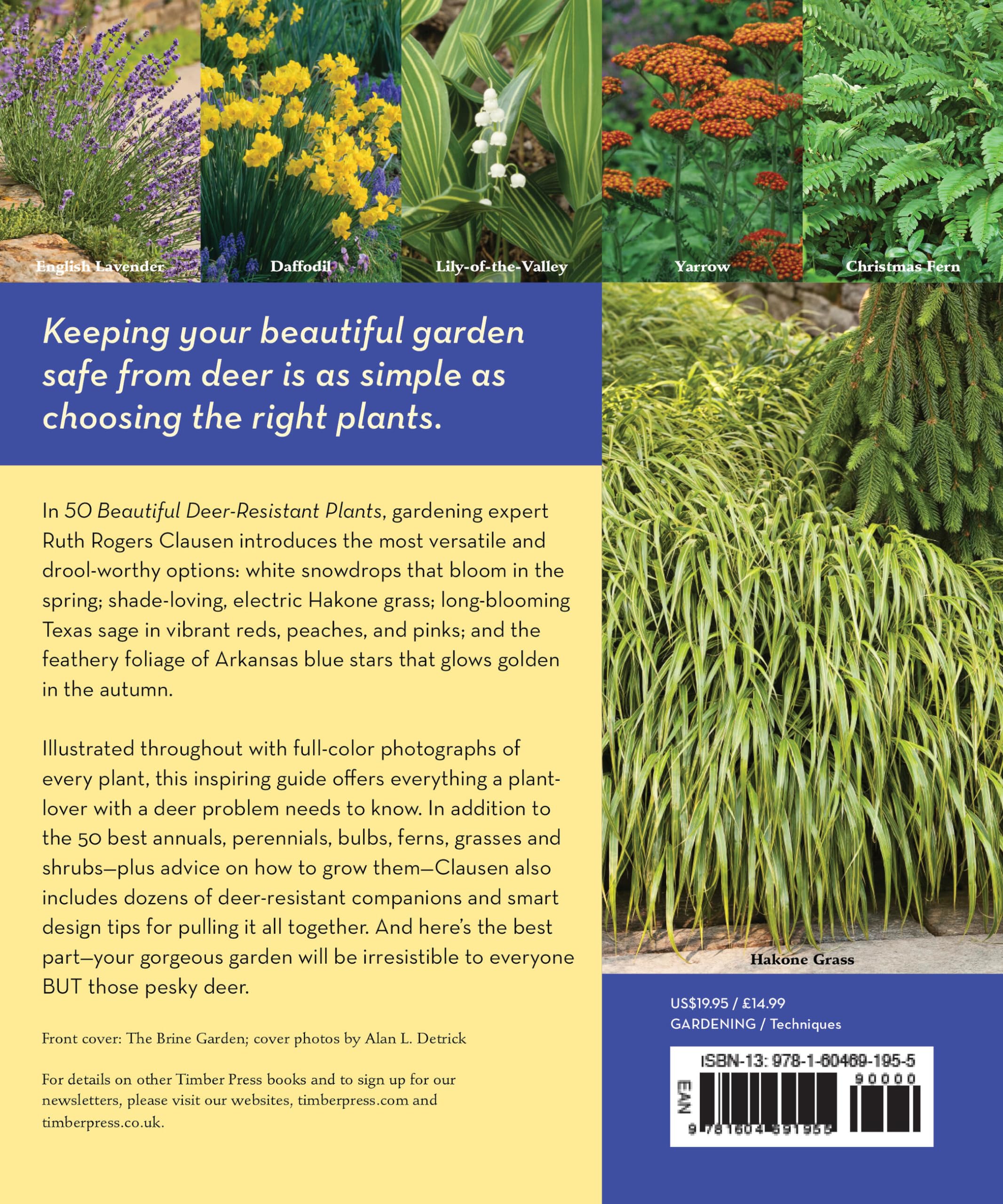Mua 50 Beautiful DeerResistant Plants The Prettiest Annuals
