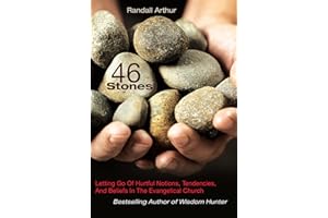 46 Stones: Letting Go Of Hurtful Notions, Tendencies, And Beliefs In The Evangelical Church