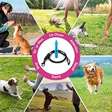 The Dog Lady TDL Gun Dog Training Whistle with Lanyard Sky Blue view 6