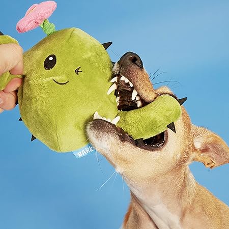 dog toy with sad toy inside