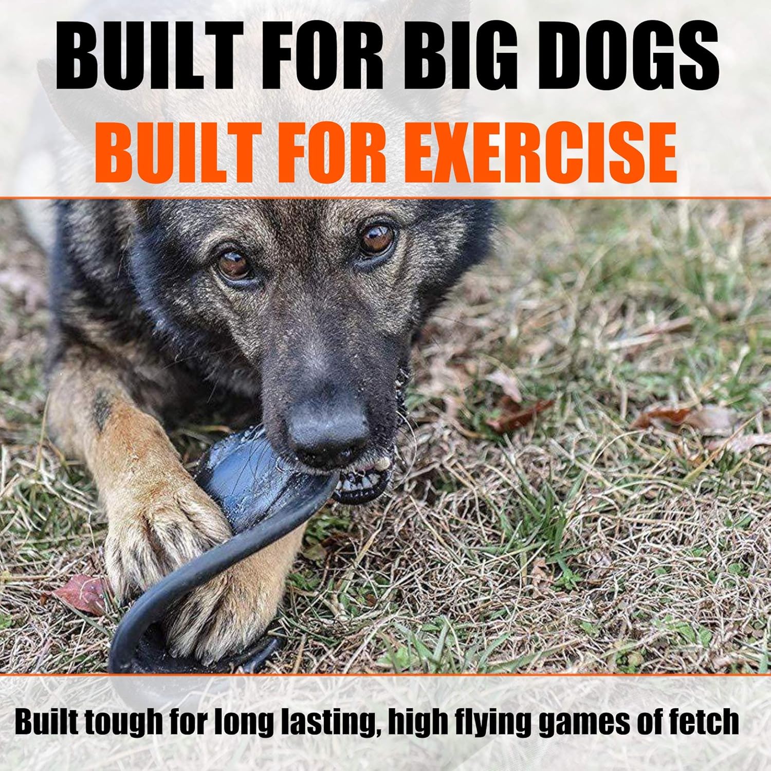 super tough dog frisbee
