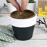 Gift Republic Grow Me Be Happy Sunflower Grow Kit Pack of 2 view 3