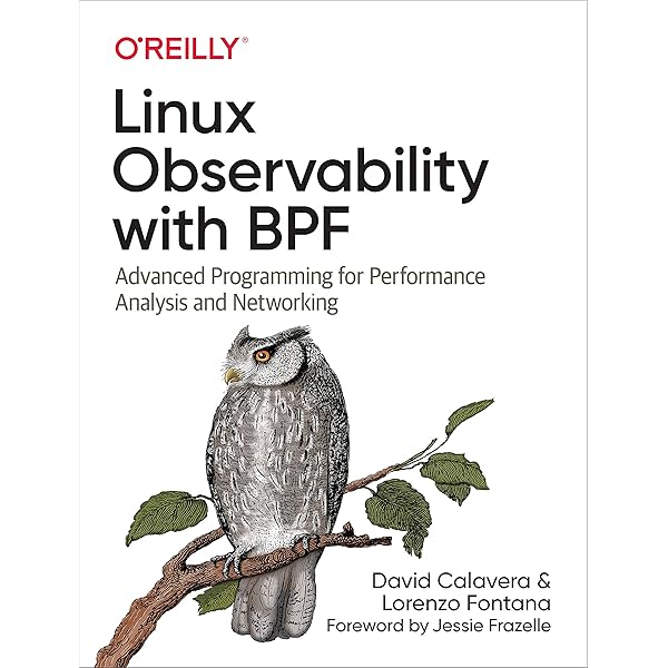 BPF Performance Tools (Addison-Wesley Professional Computing