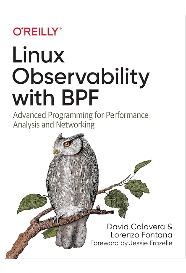 BPF Performance Tools (Addison-Wesley Professional Computing