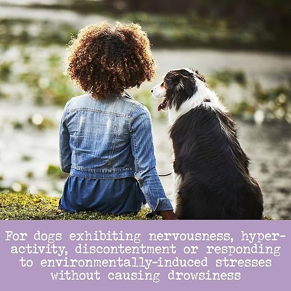 EVERROOT DOG SUPPLEMENT FOR DOG ANXIETY RELIEF BY PURINA, CALMING LIQUID PACK WITH CHAMOMILE – 14 CT. BOX
