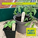 EFA International 50Pcs Plant Labels Biodegradable Birch Wood Markers 15cm view 5