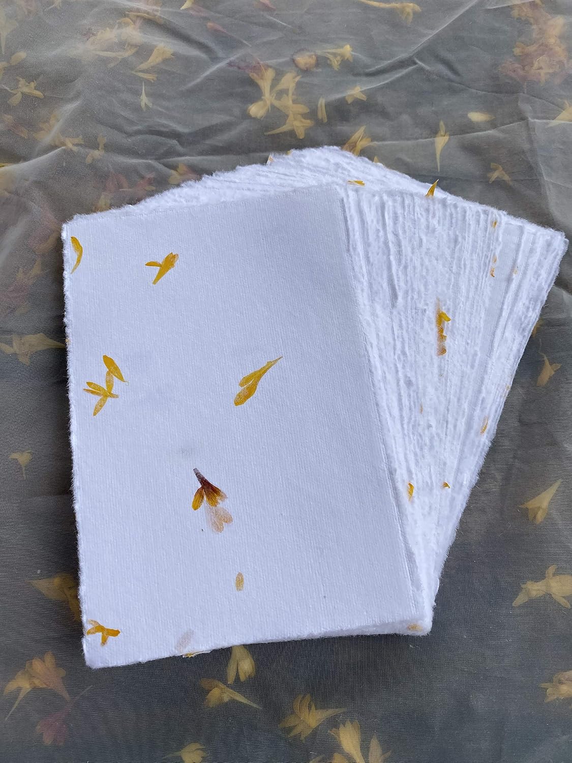 Wanderings Handmade White Paper Cards with Real Embedded Flower Petals, 10.5x15 cm, Package of 50 - Image 4