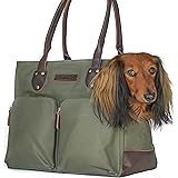tailfour pet carrier