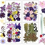 Dried Flowers, Resiners Pressed Flowers for Craft