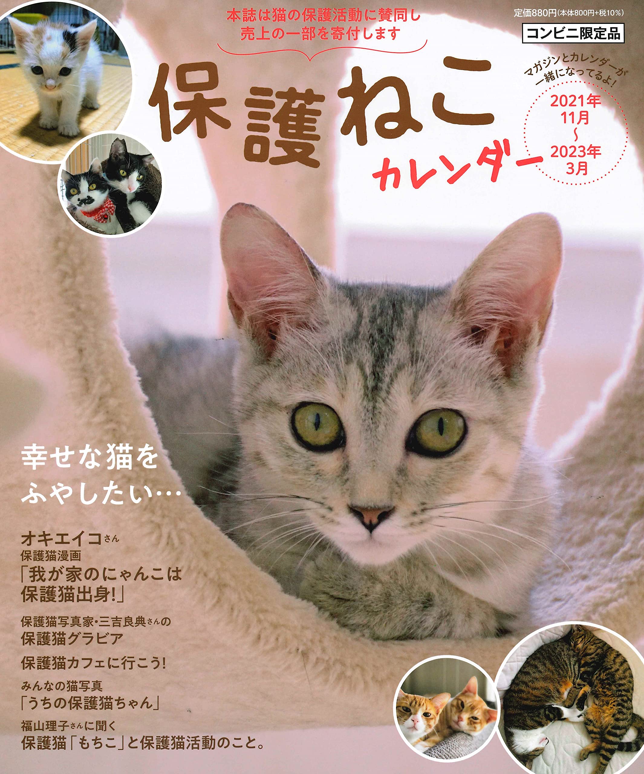 Amazon Co Jp 保護ねこカレンダー 文房具 オフィス用品