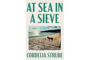 At Sea in a Sieve: A Novel