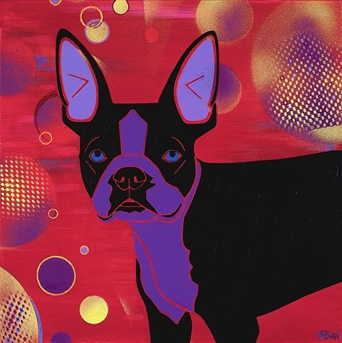 disco dog amazon