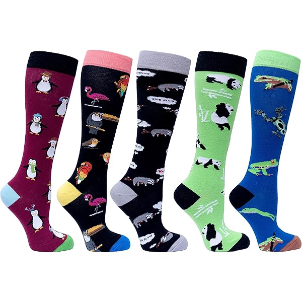 Mysocks Mens Knee High Socks 2 Pairs Argyle 0120