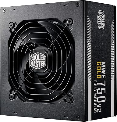MWE 750 Gold V2 - Fuente de Alimentación 750W Modular (Enchufe EU), 80 PLUS Gold, Cableado Negro Plano, Ventilador HDB 120 mm, Umbral de Alta Temperatura - 5 Años de Garantía