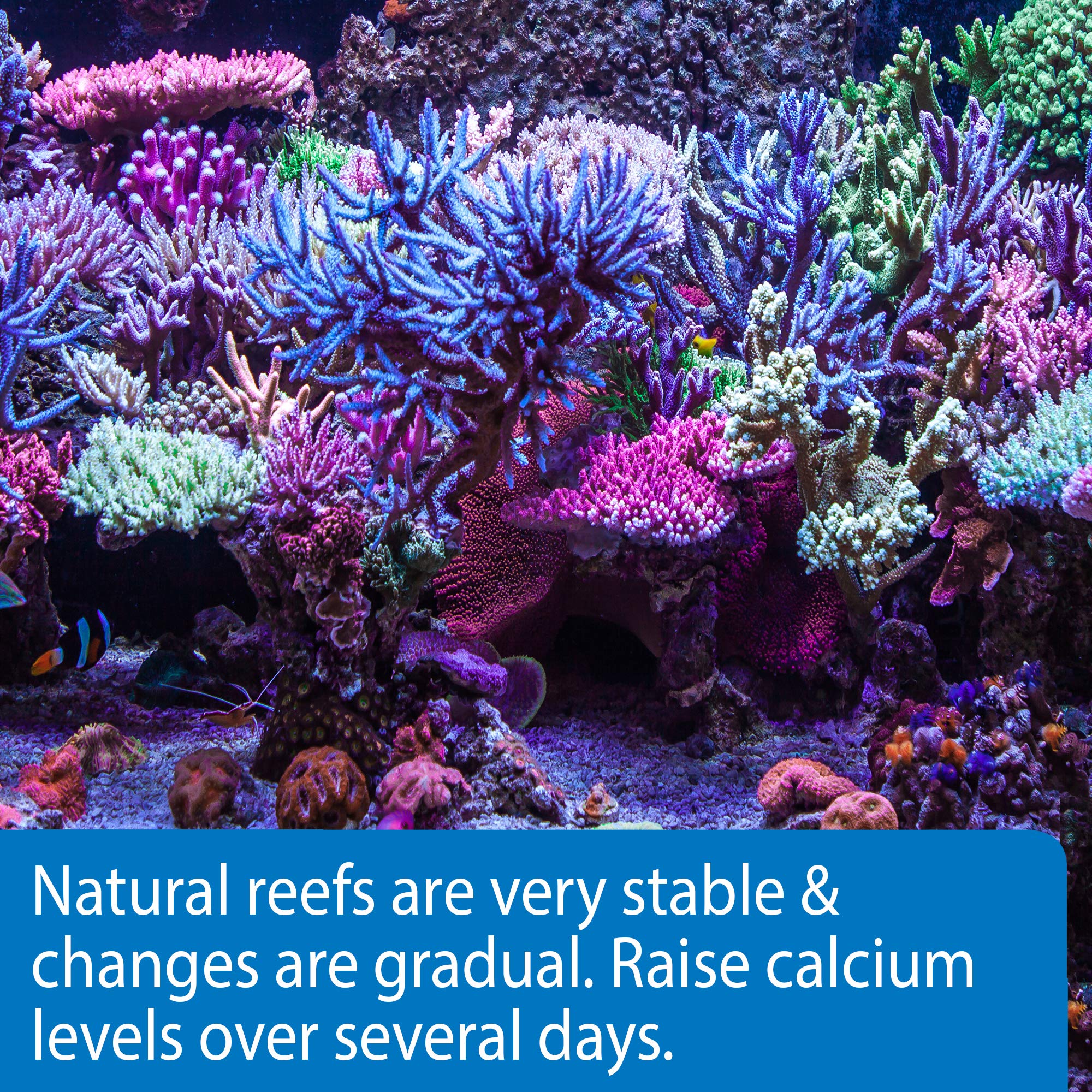 Gallery Detail: Mua Api Marine Calcium Reef Aquarium Calcium Solution 16 Ounce