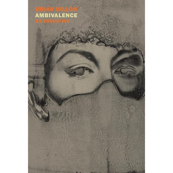 Amazon.com: Essayism: On Form, Feeling, and Nonfiction