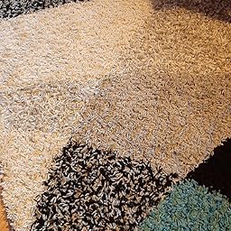 Alfombras buenas Alfombras buenas