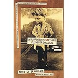 A Supposedly Fun Thing I'll Never Do Again: Essays and Arguments