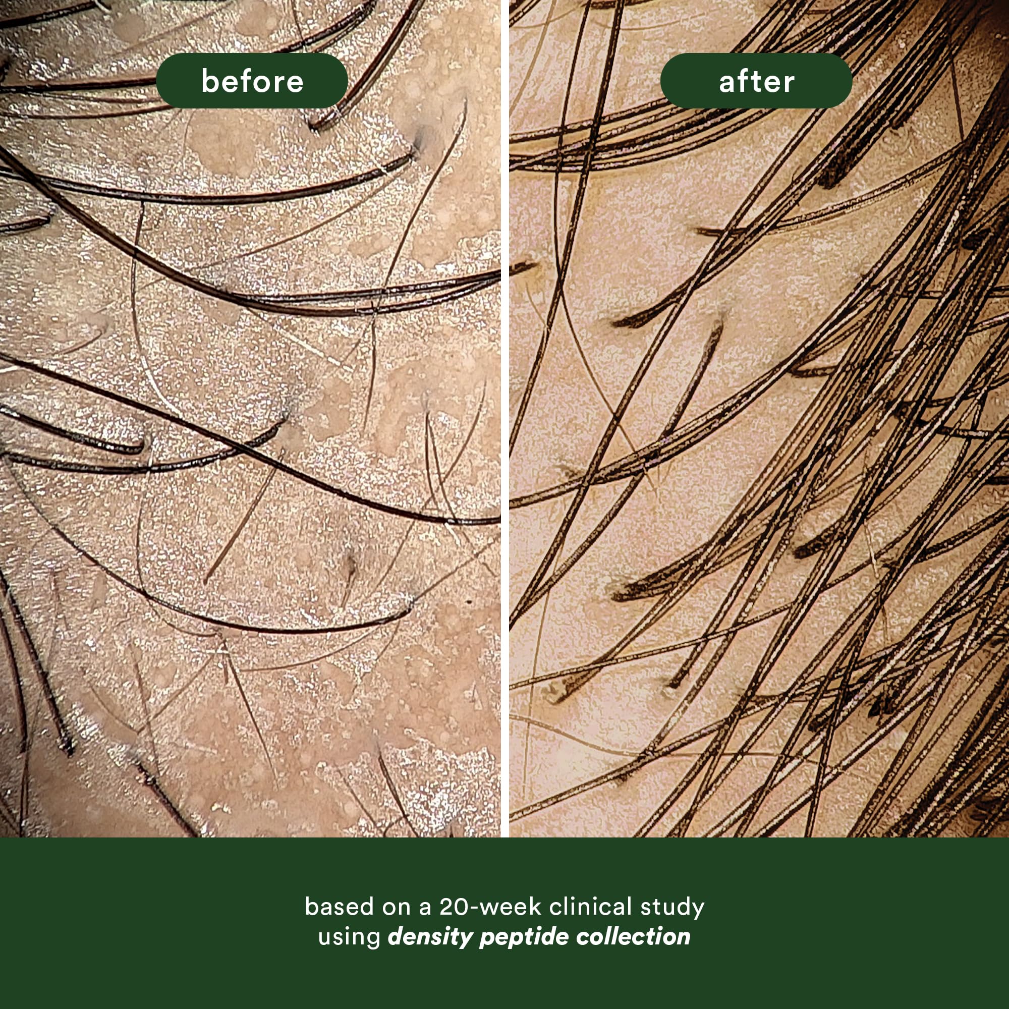 VERB Density Peptide Shampoo - Visibly Thicken + Reduce Signs of Shedding- Moisturizes Fine and Weighed Down Hair