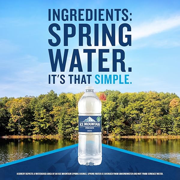 ICE MOUNTAIN SPRING WATER, 33.8 FL OZ BOTTLE – REFRESHING CRISP BOTTLED WATER