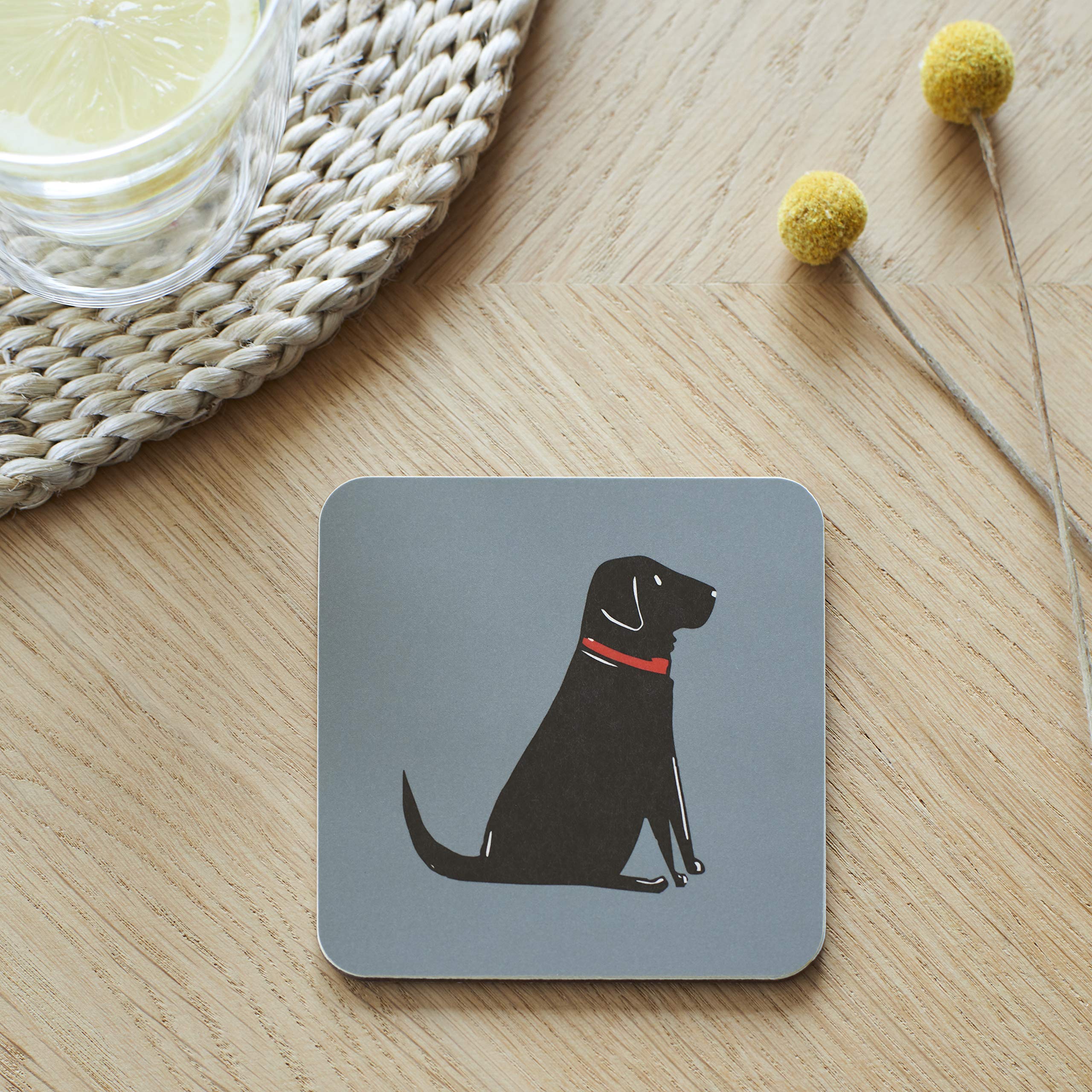 Sweet William Black Labrador Coaster