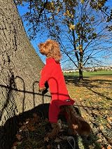 Pet Wiz Warm Four-Legged Dog Fleece Coral X-Large Weather-Resistant view 3