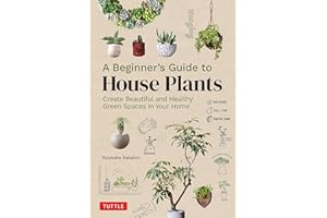 A Beginner's Guide to House Plants: Creating Beautiful and Healthy Green Spaces in Your Home