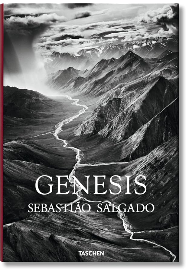 Sebastiao Salgado: Africa: Salagado, Sebastiao, Couto, Mia