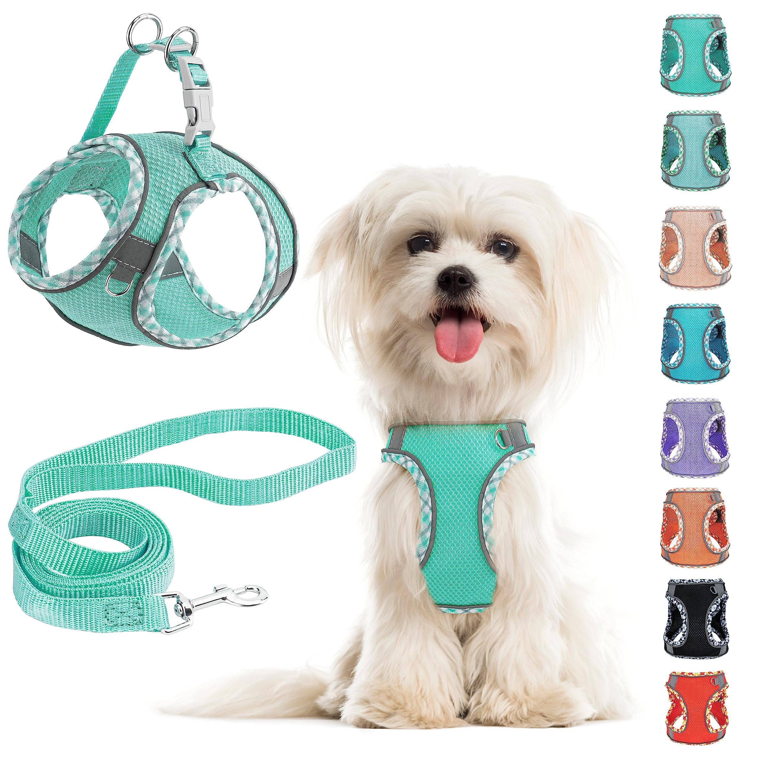 Small Dog Harness and Leash Set - No Pull Adjustable Reflective Breathable Mesh Step in Easy Walk for Extra Small/Medium Dogs Cats Puppy (Green, XS)