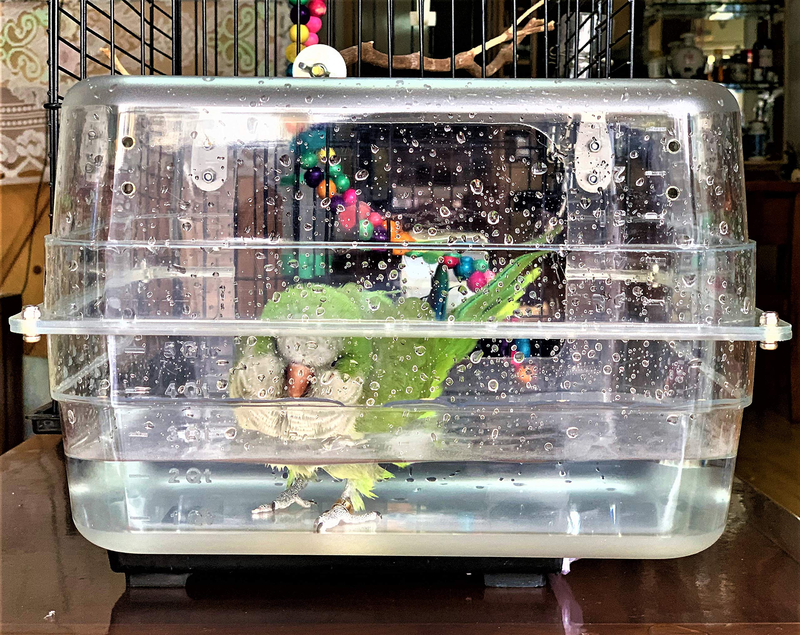 Colorday Large Bird Bath With Clear View, For Greys,Amazons,Conures