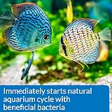 API QUICK START Freshwater and Saltwater Nitrifying Bacteria 473 ml view 5